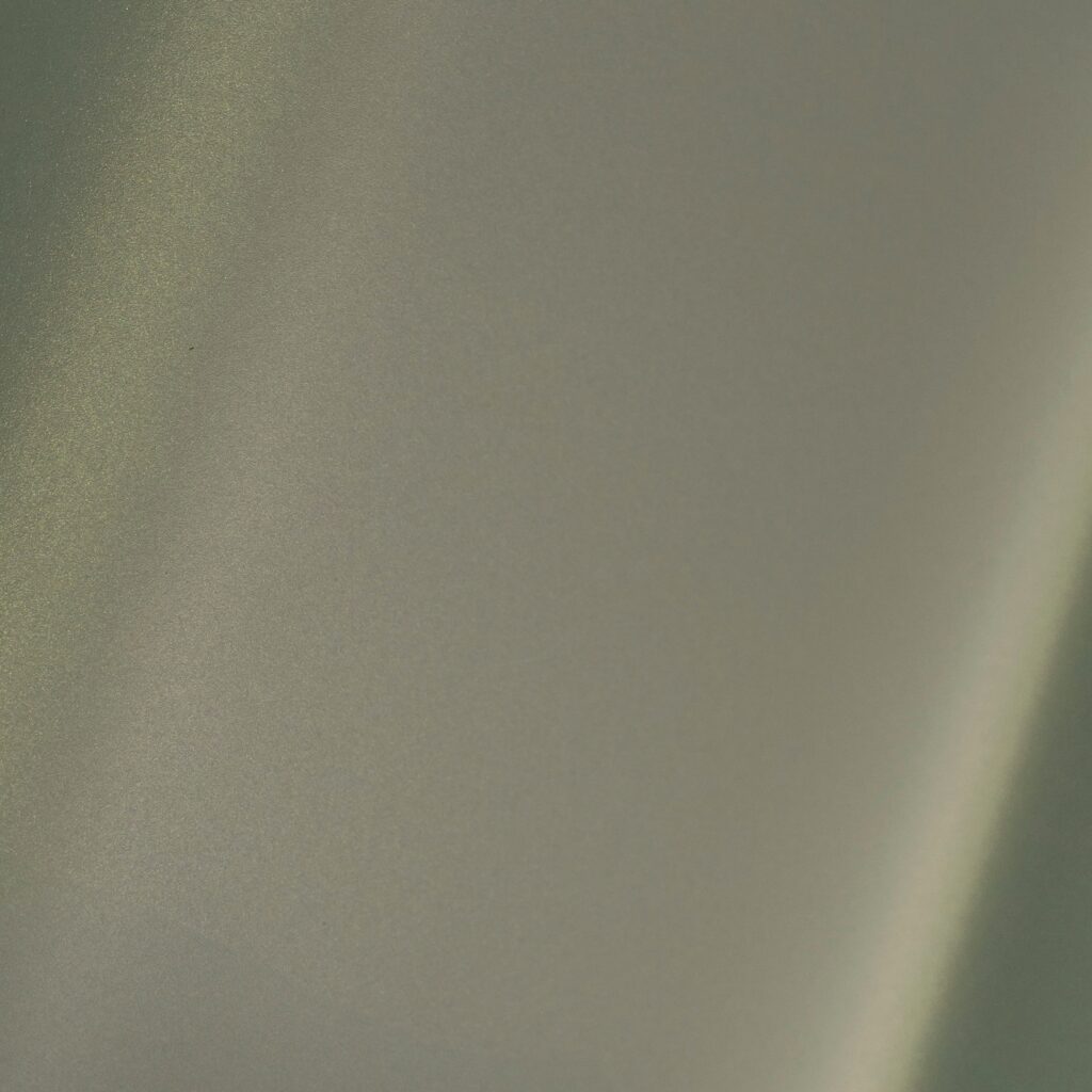 BRL0610 Oyster